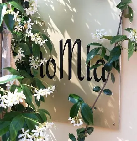 Solomia Guest house